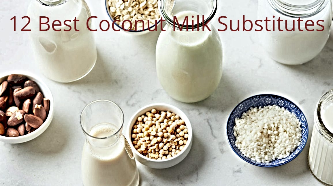 12 Best Coconut Milk Substitute for Unique Recipes
