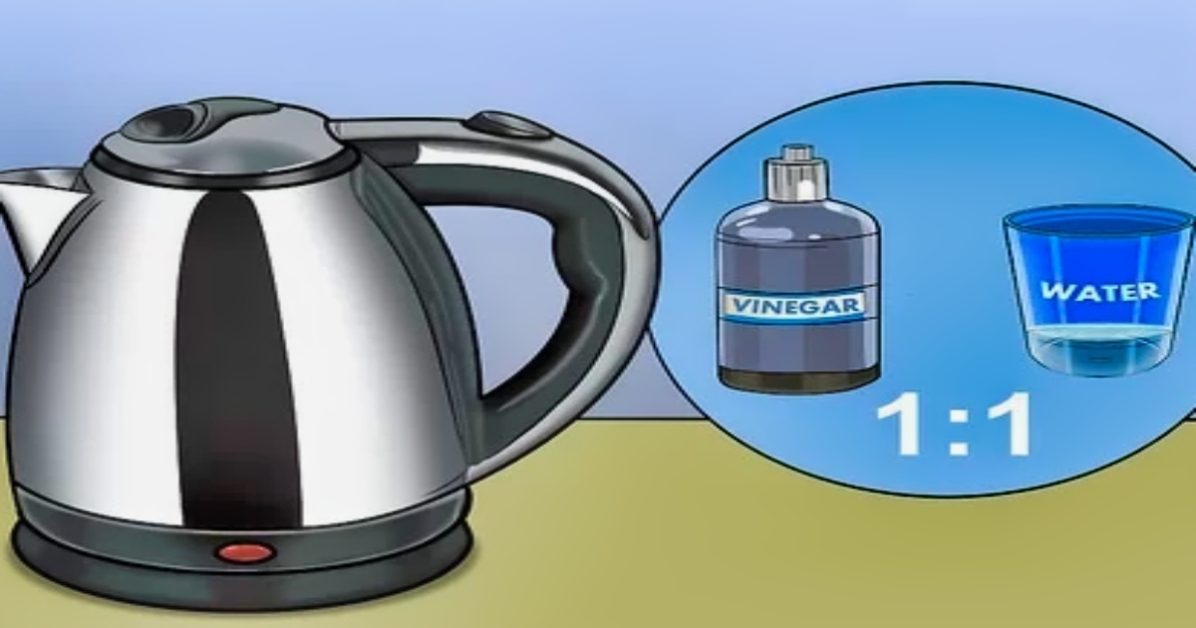 Owning an electric kettle is a must for any tea lover. This small appliance can quickly boil water on your countertop, making it the perfect tool for whipping up a hot cup of tea or coffee in minutes. But how do electric kettles work?